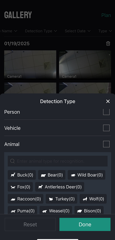 detection type