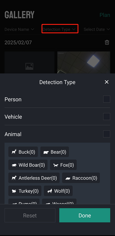 detection type