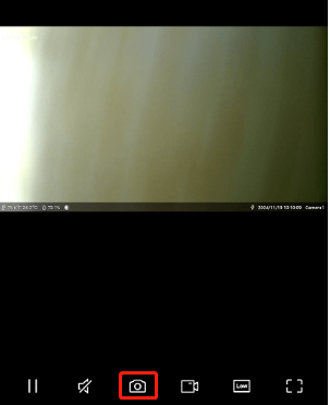 live view manual snapshots
