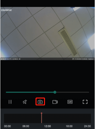 playback snapshots