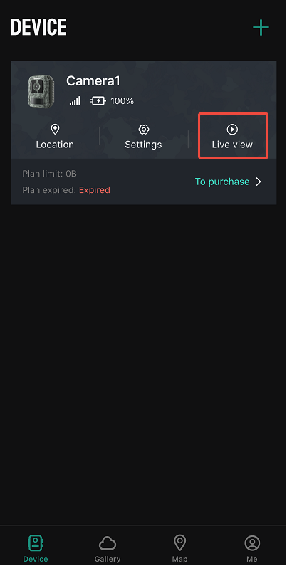 live view