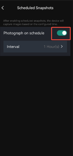 enable snapshots