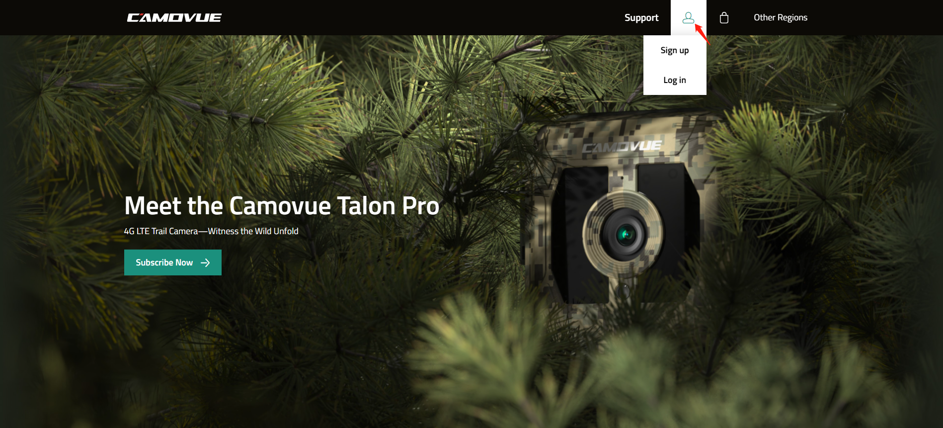 website